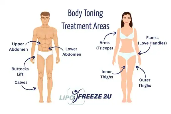 Graphic showing where you can have Body toning Treatment Eastbourne on your body